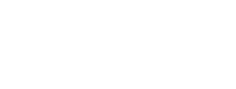 Pro Sound n'Light GmbH